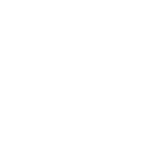 logo4